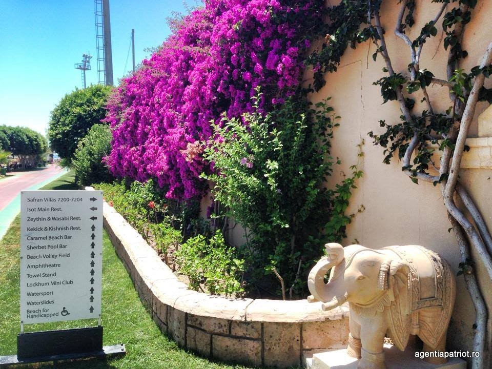 imagini hotel SPICE BELEK